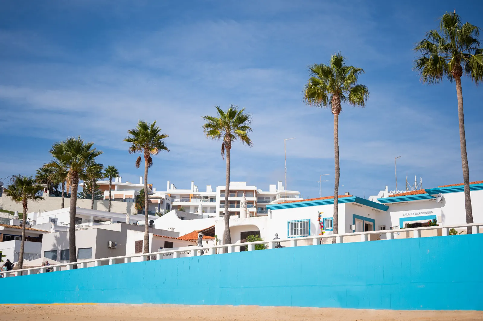 Palm trees and bright blue sea wall under sunny skies
